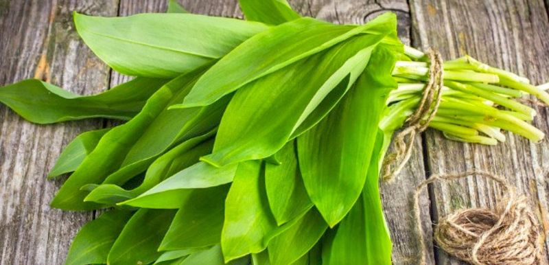 Salată de leurdă cu ou