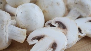 Ciulamaua de ciuperci de post