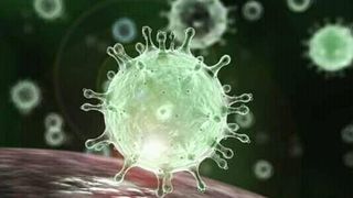 Ciuma sau &bdquo;Moartea neagră&rdquo; lovește Rom&acirc;nia sub formă de CORONAVIRUS
