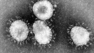 Tot ce nu știai despre CORONAVIRUS