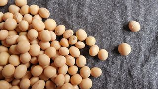 Omleta de post reteta fara oua