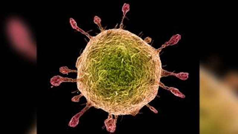 Coronavirusul rămâne în organism şi cinci săptămâni de la infectare