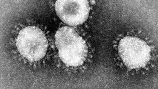 De unde provine coronavirusul? Un purtător de cuvânt al guvernului chinez are o ipoteză șoc