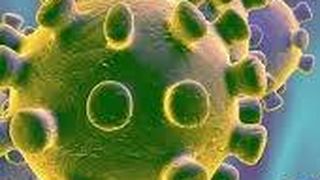 Guvernul portughez a decretat stare de alertă