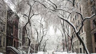 Ninsori în Capitală, schimbarea meteo începe de azi.