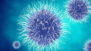 Denise Rifai și echipa Legile Puterii au intrat &icirc;n carantină