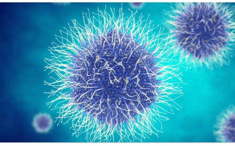 Alertă de CORONAVIRUS în politică