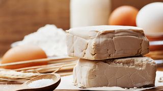 Drojdia beneficii si contraindicații - Drojdia de bere - Drojdia alimentara - Drojdie de bere pentru psine- Paine cu drojdie