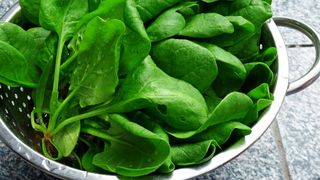 Spanac beneficii si contraindicatii
