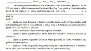 Declarație propria răspundere