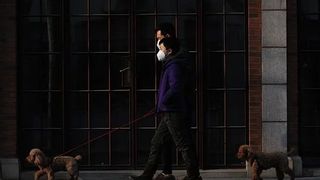 Statul cu 385 de decese din cauza coronavirus