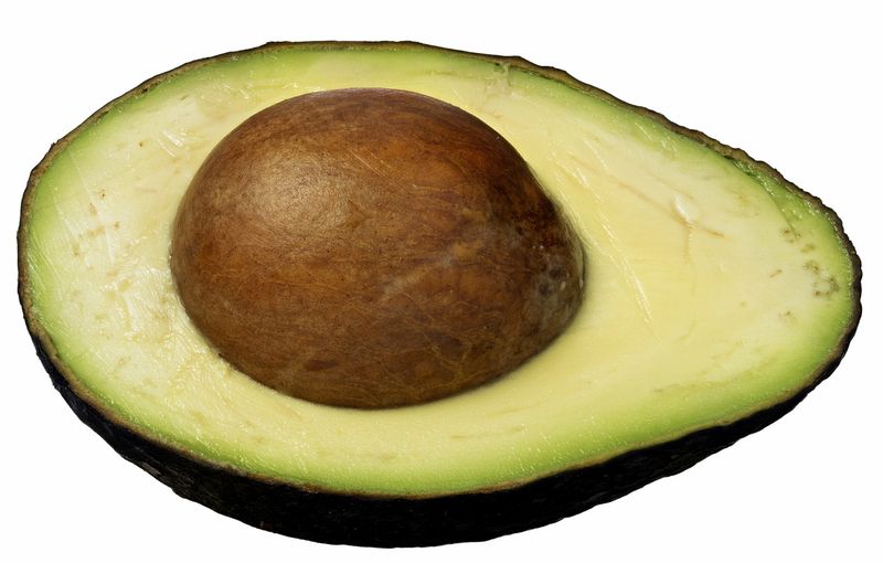 Avocado