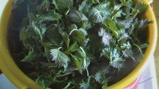 ciorba de urzici reteta beneficii sanatate 