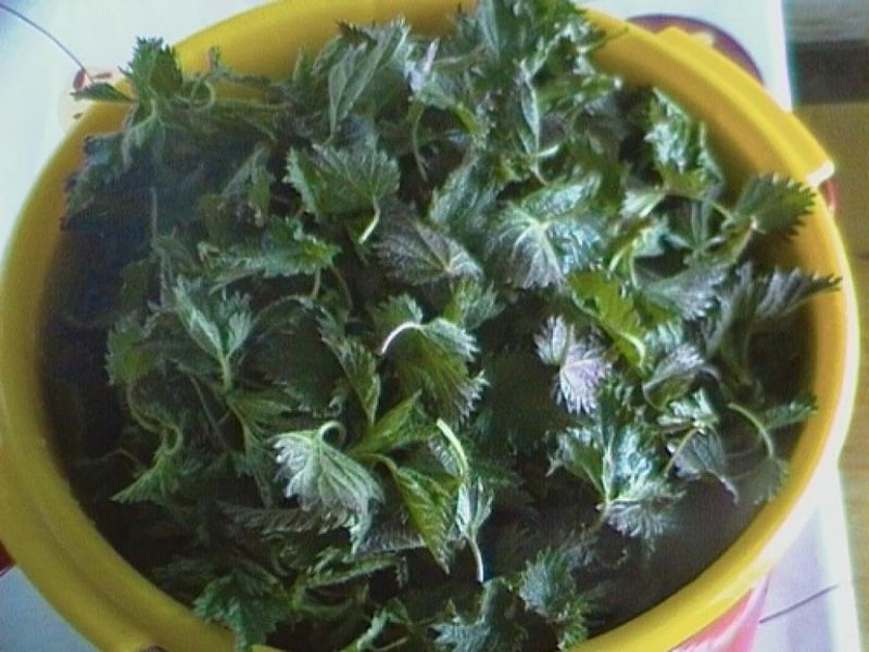 ciorba de urzici reteta beneficii sanatate 