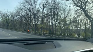 La Piața Presei, se plantează panseluțe &icirc;n vreme de coronavirus