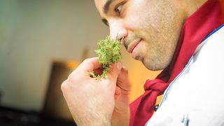 Află ce este ANOSMIA