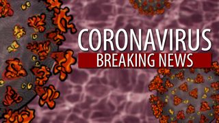 coronavirus SUA