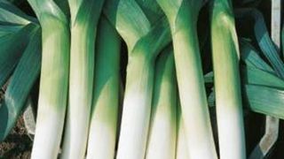 mancare de praz cu masline reteta de post