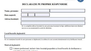 declaratie pe proprie raspundere model online pdf de printat