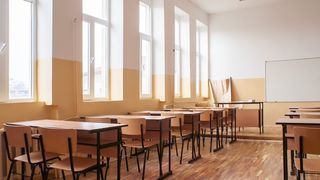 Violeta Alexandru: Părinţii care stau acasă cu copiii mai mici de 12 ani vor beneficia de ajutorul de 75% din salariu şi pe durata vacanţei 