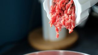 carne tocata contraindicatii