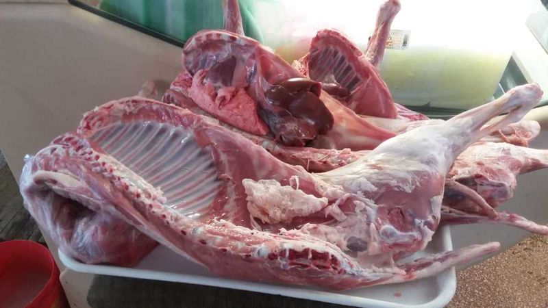 Carnea de miel beneficii contraindicatii