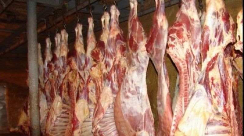 pret miel 2020 - carne de miel pret 2020 - pret kg miel 2020 - cat este kg de miel 2020