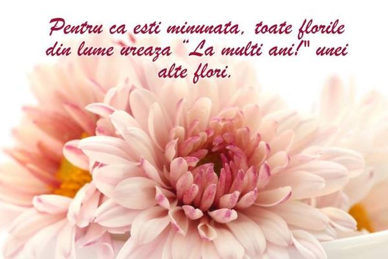 Mesaje de Florii 2020 - La multi ani de Florii - Urari de Florii 2020 - Felicitari de Florii 2020