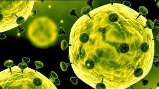 Coronavirus ucide fără milă - 786 de persoane au murit în Regatul Unit într-o zi