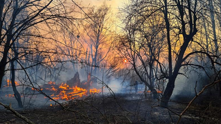 Suprafaţa incendiului de pădure din zona de excludere de la Cernobîl, provocat de un tânăr, a crescut de trei ori