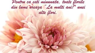 Imagini cu mesaje frumoase de Florii
