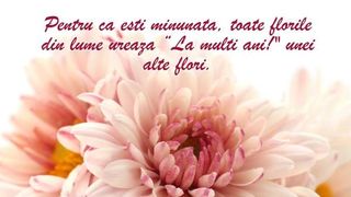 La multi ani de Florii 2020