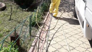 Primăria Capitalei a &icirc;nceput tratamentele de combatere a ţ&acirc;nţarilor şi căpuşelor din Bucureşti