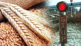 VIDEO| Interzis la export. O nouă măsură de urgență &icirc;n Rom&acirc;nia