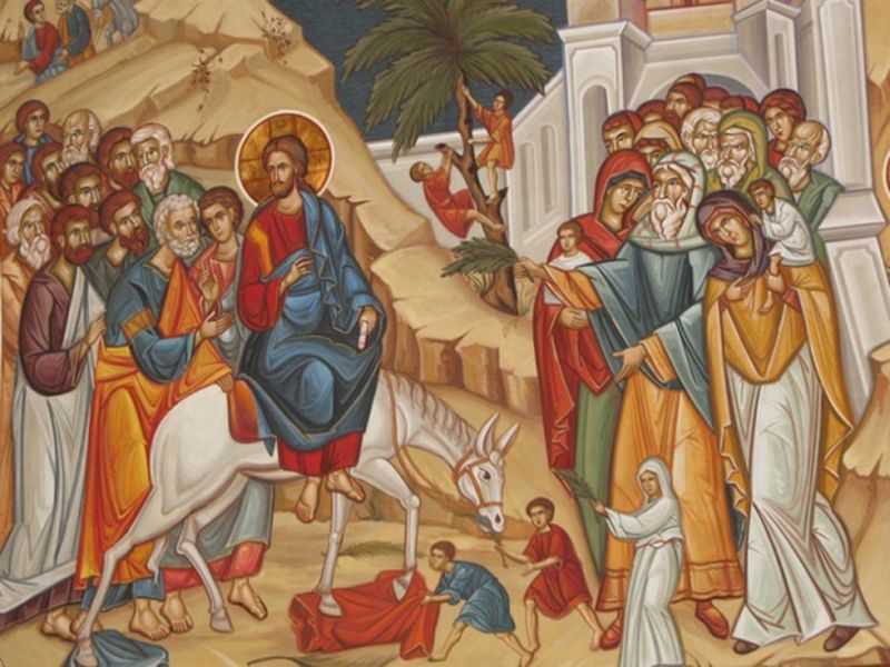 Floriile - salcie sfintita