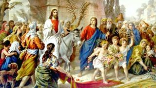 Floriile pe timp de pandemie: Ce nu e bine să faci astăzi