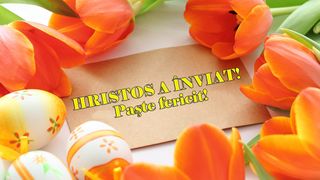 Mesaje de Paste 2020 - Urari de Paste 2020 - Felicitari de Paste 2020 - Mesaje de Paste crestine - Hristos a Inviat - Paste Fericit
