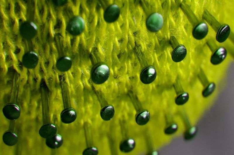 Donald Trump ținta acuzelor: „20.000 de oameni au murit de COVID-19 din cauza lui Trump!”