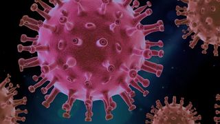 Coronavirus - 14.967 de decese &icirc;n Franţa de la &icirc;nceputul epidemiei