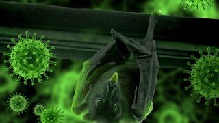 6 tipuri noi de coronavirus! Descoperirea care ar putea schimbă tot