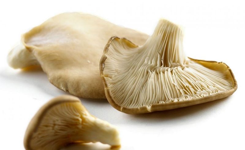 Ciorbă de burtă de post