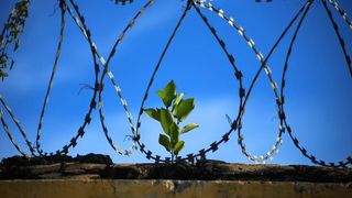 Liviu Dragnea și Radu Mazăre - meniu special de Paște