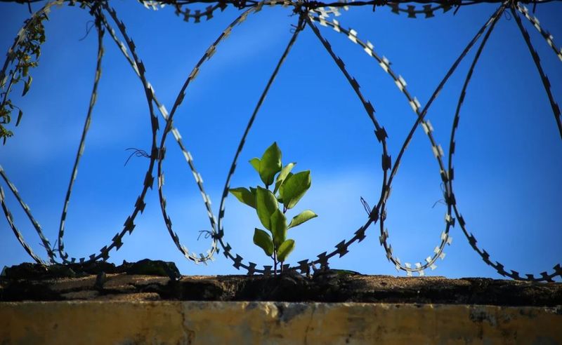 Liviu Dragnea și Radu Mazăre - meniu special de Paște