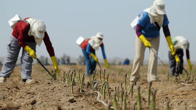 roman mort la cules de sparanghe in germania