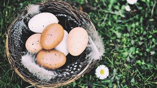 Cum se vopsesc ouăle