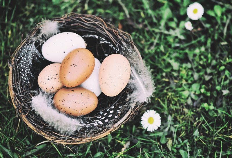 Cum se vopsesc ouăle