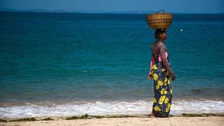 Plantă misterioasă care ”ar ucide” coronavirusul, descoperită în Africa! Președintele Madagascarului: ”Vom schimba istoria omenirii”