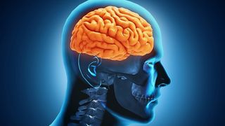 Virusologi: Coronavirusul afectează şi creierul