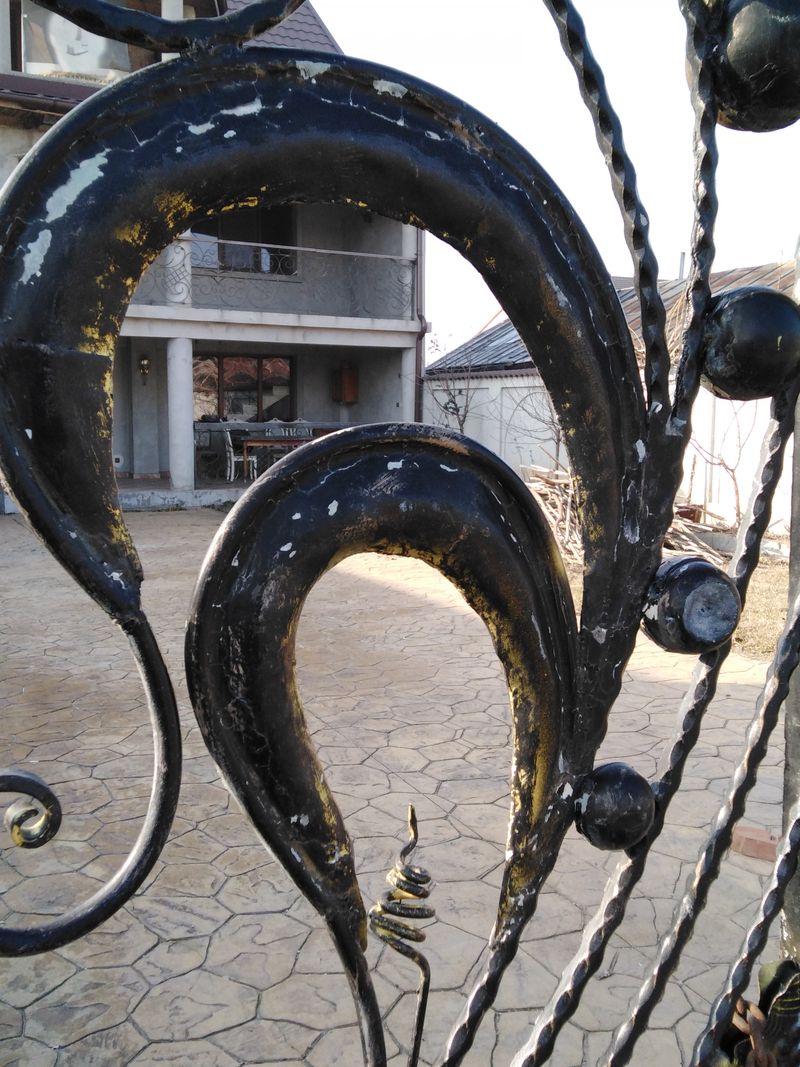 casa lui Ion Dolanescu