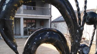 casa lui Ion Dolanescu